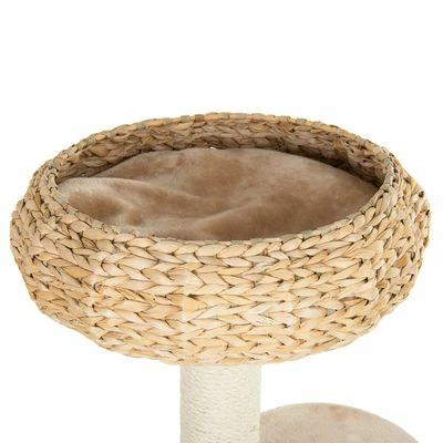 Arbre à Chat Banana Leaf Bali 6 Arbre à Chat Banana Leaf Bali - Afbeelding 6