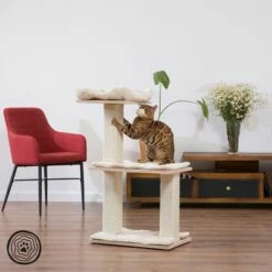 Arbre à Chat Natural Paradise Orchid M -Aanbiedingen Zooplus Winkel 109397 natural paradise kratzbaum orchid m hs 01 1