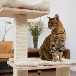 Arbre à Chat Natural Paradise Orchid M -Aanbiedingen Zooplus Winkel 109397 natural paradise kratzbaum orchid m hs 04 2