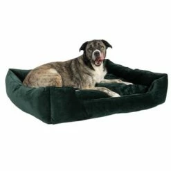 Panier Modern Living Fern Pour Chien -Aanbiedingen Zooplus Winkel 111547 hundebett fern fg 0546 0