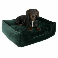 Panier Modern Living Fern Pour Chien -Aanbiedingen Zooplus Winkel 111707 hundebett fern fg 0620 4