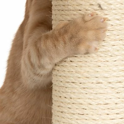 Arbre à Chat Modern Living Aruba 11 Arbre à Chat Modern Living Aruba - Afbeelding 11