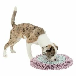 Tapis à Renifler Trixie Junior Pour Chiot Et Chaton -Aanbiedingen Zooplus Winkel 122207 pla trixie junior schnueffelteppich 38cm hs 05 4