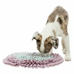 Tapis à Renifler Trixie Junior Pour Chiot Et Chaton -Aanbiedingen Zooplus Winkel 122207 pla trixie junior schnueffelteppich 38cm hs 06 5