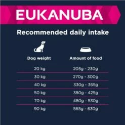 Eukanuba Adult Large Breed Agneau, Riz Pour Chien -Aanbiedingen Zooplus Winkel 135797 eukanuba adult large breed lamm reis feeding 3 9