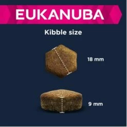 Eukanuba Adult Large Breed Agneau, Riz Pour Chien -Aanbiedingen Zooplus Winkel 135797 eukanuba adult large breed lamm reis kibble 4 2