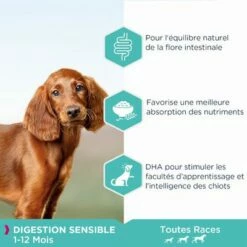 Eukanuba Puppy Sensitive Digestion Poulet, Dinde Pour Chiot 7 Eukanuba Puppy Sensitive Digestion Poulet, Dinde Pour Chiot -Aanbiedingen Zooplus Winkel 1370823 eukanuba dailycare puppysensitivedigestion productbenefits 4