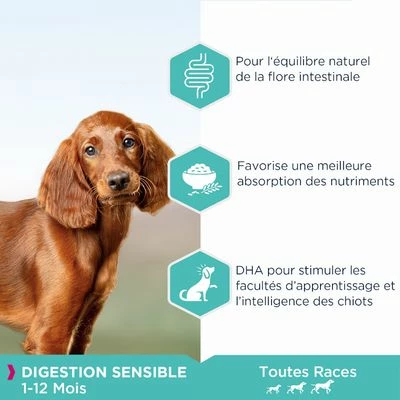 Eukanuba Puppy Sensitive Digestion Poulet, Dinde Pour Chiot 3 Eukanuba Puppy Sensitive Digestion Poulet, Dinde Pour Chiot - Afbeelding 3