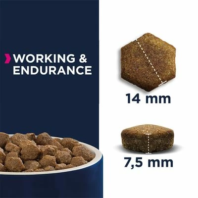 Eukanuba Daily Care Working & Endurance Adult Pour Chien - Afbeelding 2