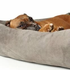 Panier Hunter Bologna Gris Pour Chien 17 Panier Hunter Bologna Gris Pour Chien -Aanbiedingen Zooplus Winkel 163796 hunter hundesofa bologna stein dog 90x70cm hs 04 4