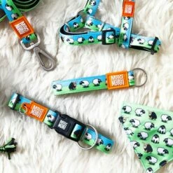 Max & Molly Laisse Courte Black Sheep 10 Max & Molly Laisse Courte Black Sheep -Aanbiedingen Zooplus Winkel 190401 maxnmolly kurzleine blacksheep hs 02 2