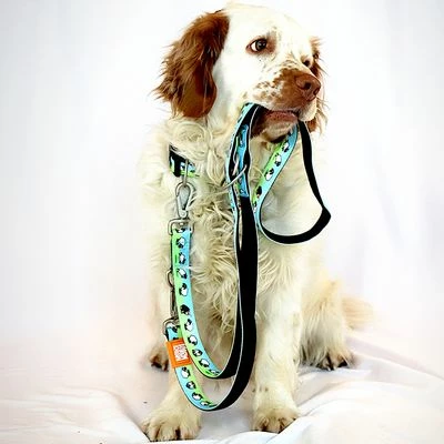 Laisse Multifonctions Max & Molly Black Sheep Pour Chien 2 Laisse Multifonctions Max & Molly Black Sheep Pour Chien - Afbeelding 2