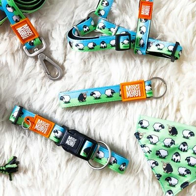 Laisse Multifonctions Max & Molly Black Sheep Pour Chien 4 Laisse Multifonctions Max & Molly Black Sheep Pour Chien - Afbeelding 4