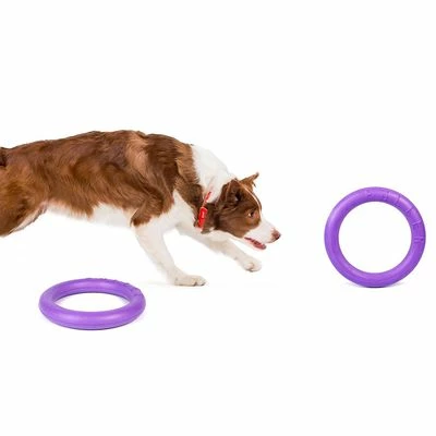 Anneaux Ferplast Puller Pour Chien 6 Anneaux Ferplast Puller Pour Chien - Afbeelding 6