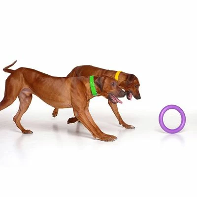 Anneaux Ferplast Puller Pour Chien 7 Anneaux Ferplast Puller Pour Chien - Afbeelding 7