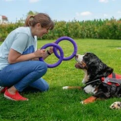 Anneaux Ferplast Puller Pour Chien 22 Anneaux Ferplast Puller Pour Chien -Aanbiedingen Zooplus Winkel 199296 ferplastitalien ferplast hundespielzeug puller midi 27cm hs 11 7