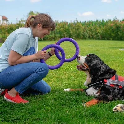 Anneaux Ferplast Puller Pour Chien 8 Anneaux Ferplast Puller Pour Chien - Afbeelding 8