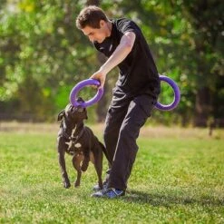 Anneaux Ferplast Puller Pour Chien 24 Anneaux Ferplast Puller Pour Chien -Aanbiedingen Zooplus Winkel 199296 ferplastitalien ferplast hundespielzeug puller midi 27cm hs 13 9