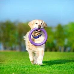 Anneaux Ferplast Puller Pour Chien 25 Anneaux Ferplast Puller Pour Chien -Aanbiedingen Zooplus Winkel 199296 ferplastitalien ferplast hundespielzeug puller midi 27cm hs 16 5