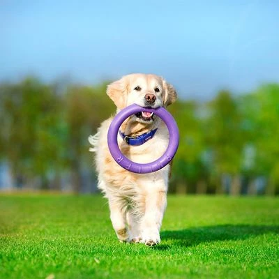 Anneaux Ferplast Puller Pour Chien 11 Anneaux Ferplast Puller Pour Chien - Afbeelding 11