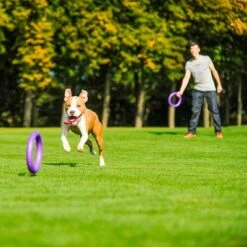 Anneaux Ferplast Puller Pour Chien 26 Anneaux Ferplast Puller Pour Chien -Aanbiedingen Zooplus Winkel 199296 ferplastitalien ferplast hundespielzeug puller midi 27cm hs 17 7