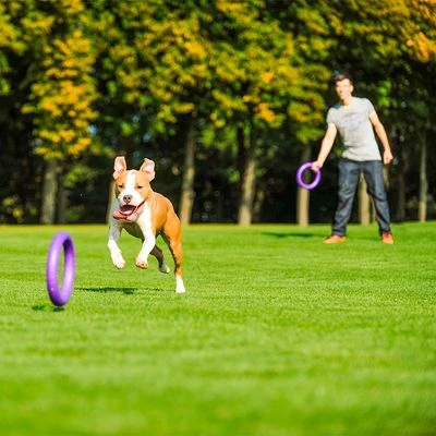 Anneaux Ferplast Puller Pour Chien 12 Anneaux Ferplast Puller Pour Chien - Afbeelding 12