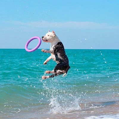 Anneaux Ferplast Puller Pour Chien 14 Anneaux Ferplast Puller Pour Chien - Afbeelding 14