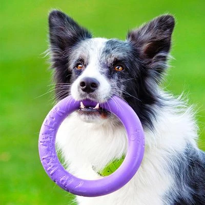 Anneaux Ferplast Puller Pour Chien 15 Anneaux Ferplast Puller Pour Chien - Afbeelding 15