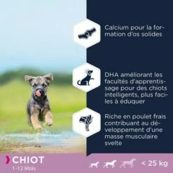 Eukanuba Grain Free Puppy Small / Medium Breed Poulet Pour Chiot 7 Eukanuba Grain Free Puppy Small / Medium Breed Poulet Pour Chiot -Aanbiedingen Zooplus Winkel 1 8710255187914 2 1