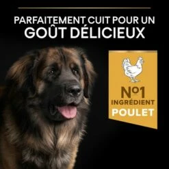 PURINA PRO PLAN Large Robust Adult Everyday Nutrition Pour Chien 14 PURINA PRO PLAN Large Robust Adult Everyday Nutrition Pour Chien -Aanbiedingen Zooplus Winkel 1 b00y9ssx4y pt03 8