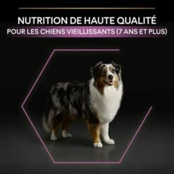 PURINA PRO PLAN Medium & Large Adult 7+ Age Defence Pour Chien 12 PURINA PRO PLAN Medium & Large Adult 7+ Age Defence Pour Chien -Aanbiedingen Zooplus Winkel 1 b00y9su022 pt05 9