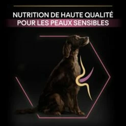 PURINA PRO PLAN Large Athletic Adult Sensitive Skin Saumon Pour Chien 12 PURINA PRO PLAN Large Athletic Adult Sensitive Skin Saumon Pour Chien -Aanbiedingen Zooplus Winkel 1 b01h05h654 pt05 2