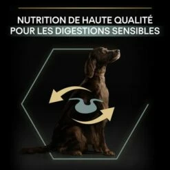PURINA PRO PLAN Large Adult Athletic Sensitive Digestion Agneau, Riz Pour Chien 12 PURINA PRO PLAN Large Adult Athletic Sensitive Digestion Agneau, Riz Pour Chien -Aanbiedingen Zooplus Winkel 1 b01n2ukw3k pt05 3