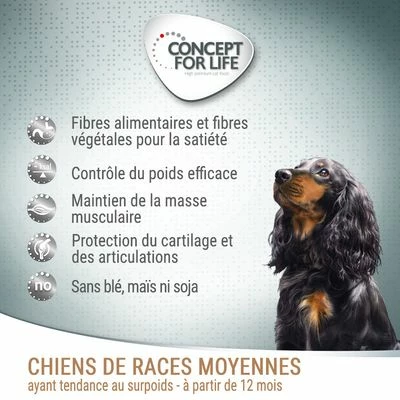 Concept For Life Medium Light Pour Chien 2 Concept For Life Medium Light Pour Chien - Afbeelding 2