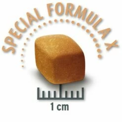 Lot Concept For Life Pour Chien 36 Lot Concept For Life Pour Chien -Aanbiedingen Zooplus Winkel 1 medium light krokette 0