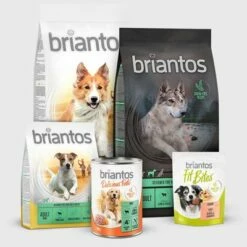 Briantos Adult Active Pour Chien 7 Briantos Adult Active Pour Chien -Aanbiedingen Zooplus Winkel 2023 09 briantos general grid 1000x1000 int 4
