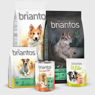 Briantos Adult Active Pour Chien 4 Briantos Adult Active Pour Chien - Afbeelding 4