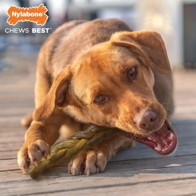 Nylabone Alternative Au Bœuf 2 Nylabone Alternative Au Bœuf - Afbeelding 2