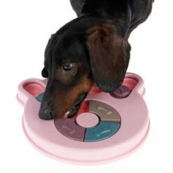 Jouet D'intelligence Snack Paw 19 Jouet D'intelligence Snack Paw -Aanbiedingen Zooplus Winkel 230497 snack paw fg 0739 4