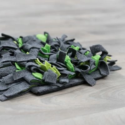 Trixie Tapis à Renifler 10 Trixie Tapis à Renifler - Afbeelding 10