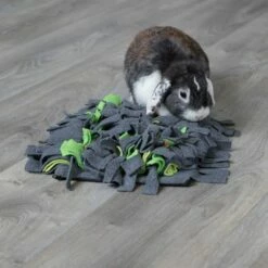 Trixie Tapis à Renifler 17 Trixie Tapis à Renifler -Aanbiedingen Zooplus Winkel 236505 trixie schnueffelteppich hs 10 9