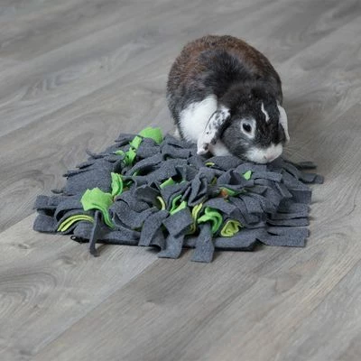 Trixie Tapis à Renifler 6 Trixie Tapis à Renifler - Afbeelding 6