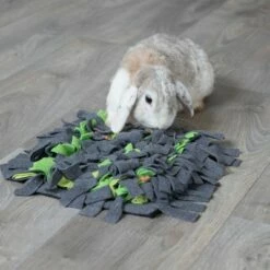 Trixie Tapis à Renifler 22 Trixie Tapis à Renifler -Aanbiedingen Zooplus Winkel 236505 trixie schnueffelteppich hs 11 7