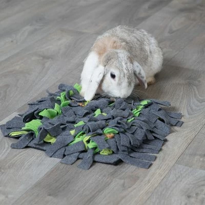 Trixie Tapis à Renifler 11 Trixie Tapis à Renifler - Afbeelding 11