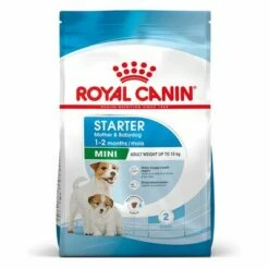 Lot De Croquettes Royal Canin Size Grand Format X 2 33 Lot De Croquettes Royal Canin Size Grand Format X 2 -Aanbiedingen Zooplus Winkel 252301 252796 pla royalcanin mini breed starter mother babydog hs 01 3