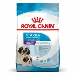 Royal Canin Giant Starter Mother & Babydog Pour Chiot