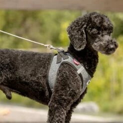 Laisse De Poche Curli Ultra-résistante Pour Chien 16 Laisse De Poche Curli Ultra-résistante Pour Chien -Aanbiedingen Zooplus Winkel 267896 267897 ultrastarke taschenleine hs 05 3