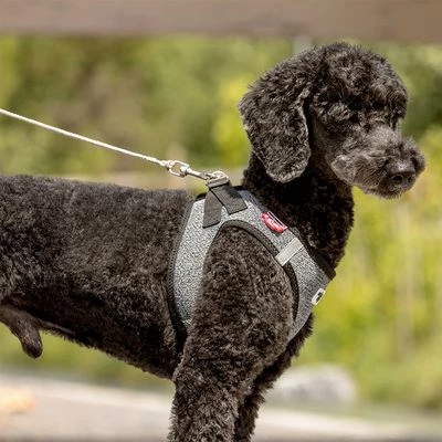 Laisse De Poche Curli Ultra-résistante Pour Chien 6 Laisse De Poche Curli Ultra-résistante Pour Chien - Afbeelding 6