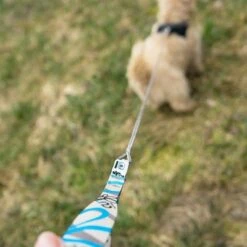 Laisse De Poche Curli Ultra-résistante Pour Chien 17 Laisse De Poche Curli Ultra-résistante Pour Chien -Aanbiedingen Zooplus Winkel 267896 267897 ultrastarke taschenleine hs 06 3