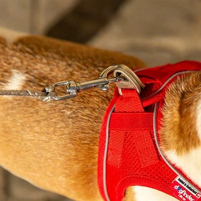 Laisse De Poche Curli Ultra-résistante Pour Chien 10 Laisse De Poche Curli Ultra-résistante Pour Chien - Afbeelding 10